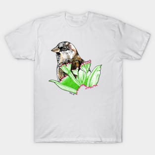 Peek-a-Boo!  (House Sparrow) T-Shirt